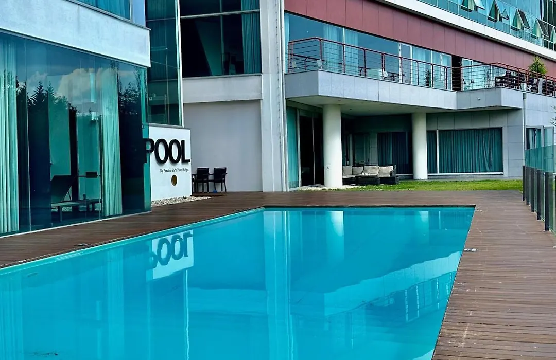 Penafiel Park Hotel & Spa-1